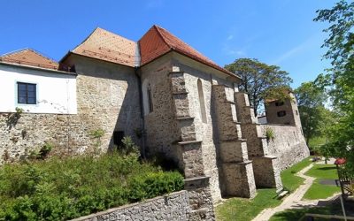 Radovedni popoldnevi: KAJ NAM SPOROČAJO RAZLIČNA VERSTVA?